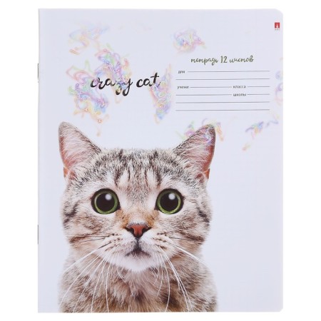 Notebook of 12 sheets in the “Amazing kittens” cage, cover coated paper, VD-LK, MIX-2