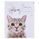 Notebook of 12 sheets in the “Amazing kittens” cage, cover coated paper, VD-LK, MIX