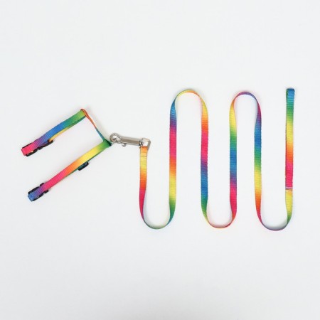 A set for cats "Rainbow", width 1 cm, Osh 16.5-27, OG 21-35 cm, leash 120 cm-6