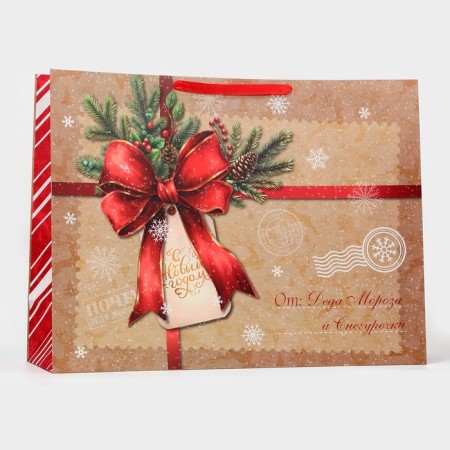 Laminated "envelope" package, XXL 46 x 61 x 20 cm-1