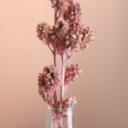 Set of dried flowers "licorice", ban 3 pcs, length 60 (+/- 6 cm), pink-1