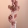 Set of dried flowers "licorice", ban 3 pcs, length 60 (+/- 6 cm), pink