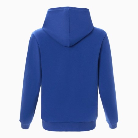 Feminine sweatshirt, color bright blue, size 48-12