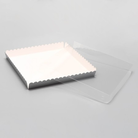 Box for cookies, silver, 25 x 25 x 3 cm-3