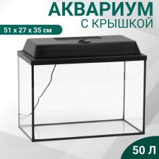 Aquarium 