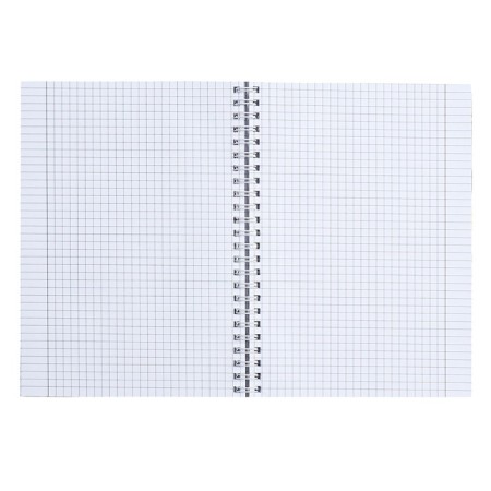 Notebook A5, 80 sheets in a cage on the crest of Calligrata "Chamomile", cover 7BC, OFSET BOCom-2