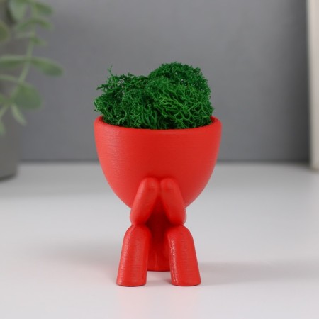 Kashpo concrete mini "Mr. Green" Kikazaru with moss red 5.5x6.5 cm (moss green stabil)