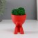 Kashpo concrete mini "Mr. Green" Kikazaru with moss red 5.5x6.5 cm (moss green stabil)