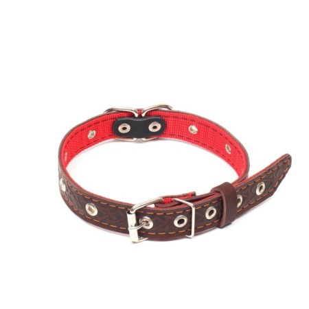 Collar leather reinforced with a kapron with a half-ring, 55 x 2.5 cm, Osh 27-53 cm, brown-1