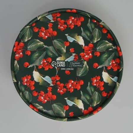 Box for Makarun Tubus with the Bullfinch window, 12 x 12 x 5 cm, New Year-3