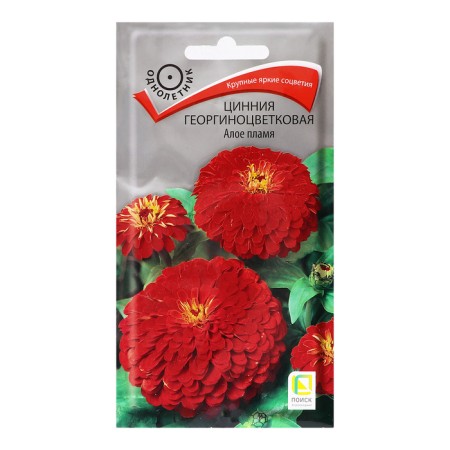 Seeds of Tsinniy Boloorginsky Vorginsky "scarlet flame", 0.4g.