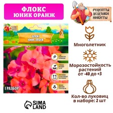 Флокс "Юник Оранж" р-р I, 2 шт,