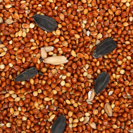 Feed "Eshka" for small and medium parrots, assorted, 500 g-2