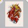 Tattoo on the body color "Red carps" 26.1x14.6 cm