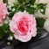 Artificial flowers "rose gallant" 8x62 cm, pink