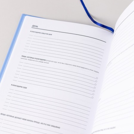 Vedeneeva diary. GRATITUDE DIARY. Vedeneeva V.-7