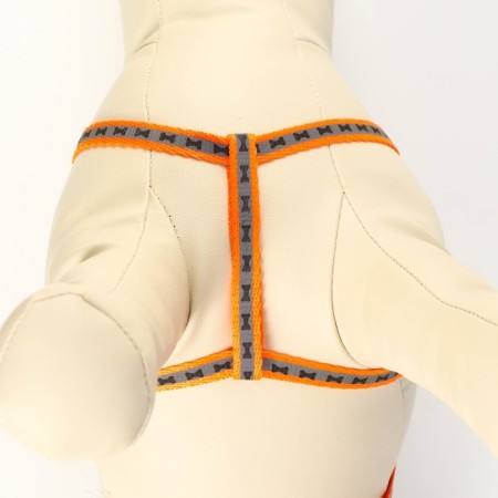 The reflective “bones” set, a collar of 120 x 1 cm, Osh 24-40 cm, fire 24-40 cm orange-5