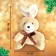 Gift set "New Year's Gift", 3 books, toy