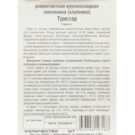 Strawberries "Tristar", 10 pcs-2