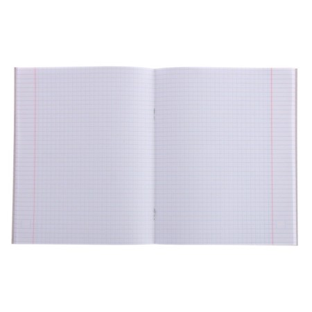 Notebook of 48 sheets in Calligrata Call "Daring Raccoon", Cover Cover Cardboard, Offset Block, Mix-1