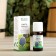 Essential oil "Fir" 10 ml Oleos
