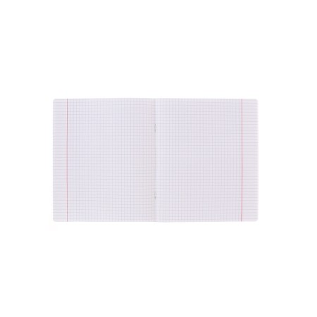 Notebook 24 sheets in the Erichkrause Coverprio Pastel Classic Code, Plastic Cover, Offset block, 100%whiteness, mint-10