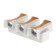 Facade lamp "Elegant", FSD-042, 6 W, 3000K, 3 rays, IP65, 220 V, plastic, white