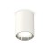 Ambrella Light overhead lamp, XS6312022, MR16 GU5.3 LED 10 watts, white sand, silver color