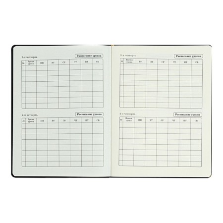 Diary 1-11 Grade "Kisul Vasily", artificial leather, foam, foil embossing, 48 sheets-6