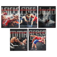 Notebook of 48 sheets in the 