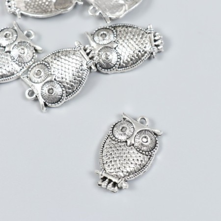 Decor for creativity Metal "Evil on a branch" set 6 pcs silver 1.8x2.9 cm