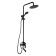 Showing system Accoona A83207F, single -leaf, pour 141 mm, tropical shower, watering can, black