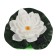 Sadovaya flashlight on a sunny battery Start "Lily", 1 Led, Multi