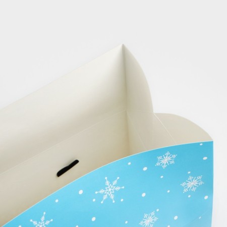 Package - Box "Happy New Year", animals, 23 x 18 x 11 cm, new year-4