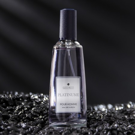 Tuale water Male Gabriel Maison "Platinum", 50 ml-1