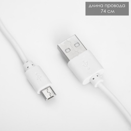 Table lamp touch "sliding" LED 15W AKB USB white 45x30x17 cm Risalux-19