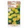 Enoter's flowers "Night candle", 0.2 g