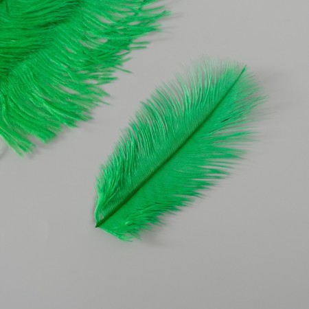 Decorative ostrich feather "dark green" h = 15-20 cm-1