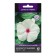 Flowers Catarantus Pacific "Polka Dot" 10 pcs
