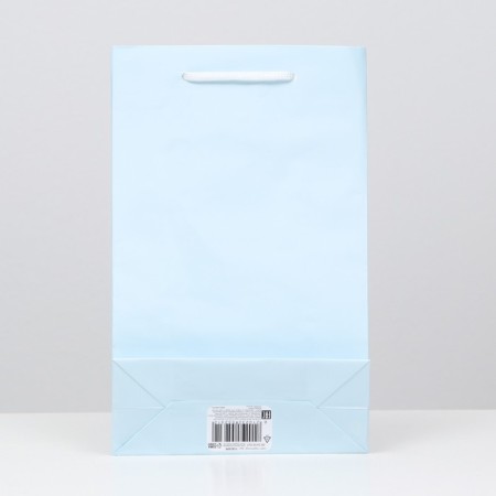 Laminated, blue, 26.5 x 16.5 x 7 cm package-1