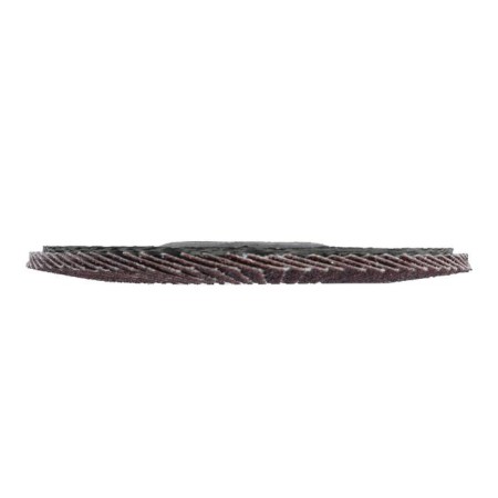 Circle of petal conical scrap, 125 x 22 mm, p80-3