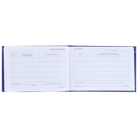 Test book for a university 140 x 100 mm, calligrata, hard cover, boumvinyl, blue color-6