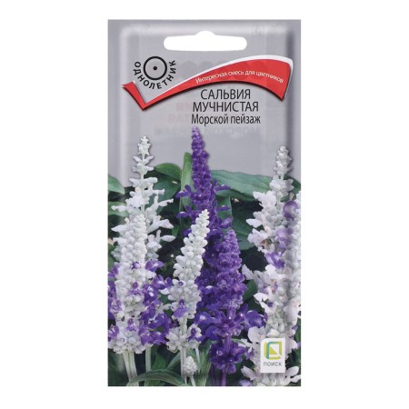 Flower seeds Salvia powdery "Sea landscape", 10pcs