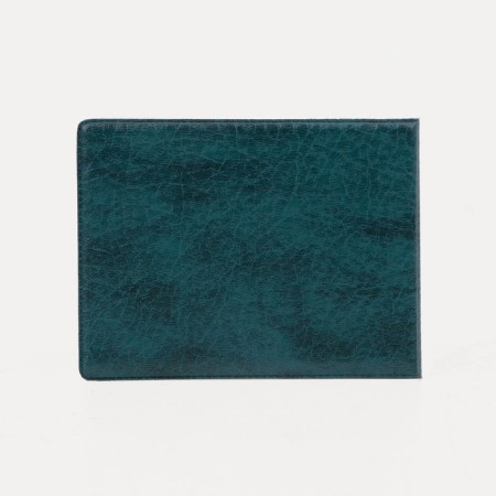 Cover for a student ticket, green color-1
