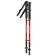 Sticks for Scandinavian walking online, telescopic, 3 sections, up to 135 cm, 2 pcs., Mix color