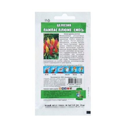 Seeds Flower Holosia "Pampas Pluma" 0.1 g-1