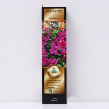 Clematis botanical suite 
