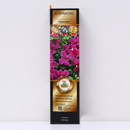 Clematis botanical suite "Krakowyak", 1 pc, tube, spring 2024