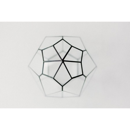Florarium "Blossom", Swes Silver-5
