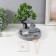 Zen Garden "Buddha by a tree" sand+candle 22.5x17x17 cm